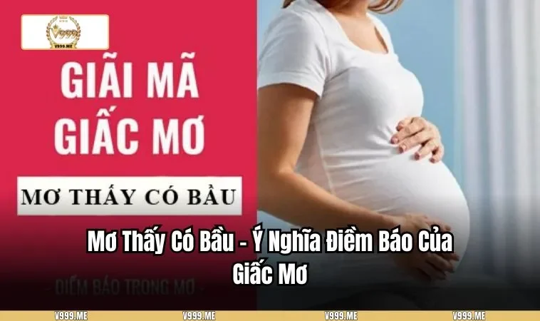 Mơ Thấy Có Bầu – Ý Nghĩa Điềm Báo Của Giấc Mơ 3315 Mơ Thấy Có Bầu – Ý Nghĩa Điềm Báo Của Giấc Mơ