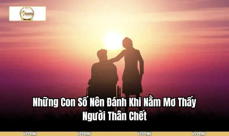 Những Con Số Nên Đánh Khi Nằm Mơ Thấy Người Thân Chết 3315 Mơ thấy người thân chết